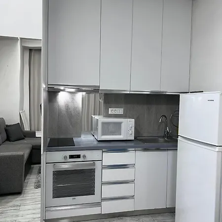 Maison Kika 2 公寓 地拉那